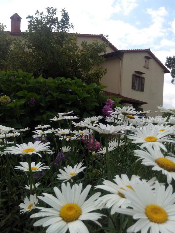 Hostal Da Ronald ... A Pian Del Papa Pratovecchio Exterior foto