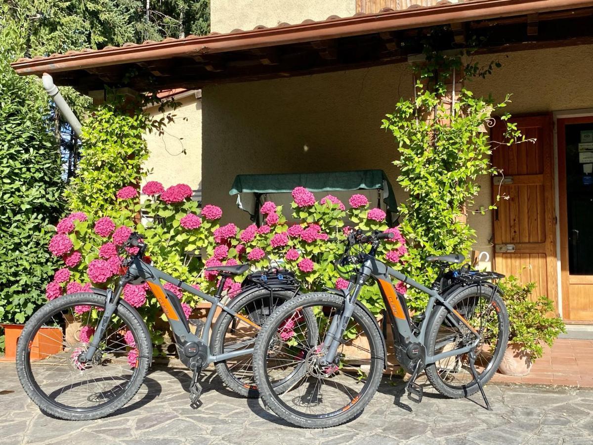 Hostal Da Ronald ... A Pian Del Papa Pratovecchio Exterior foto